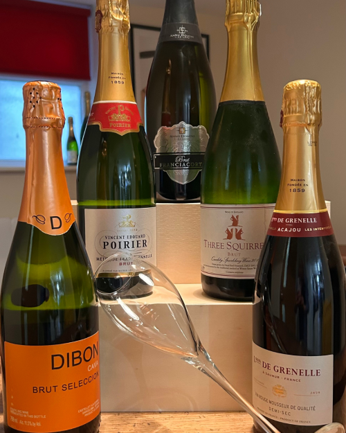 Sparkling Wine Tasting