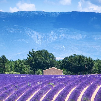 Provence