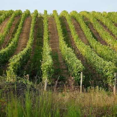 Loire Valley