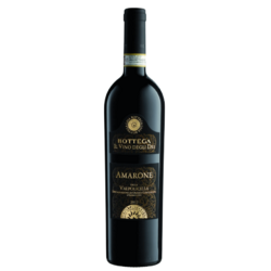 Bottega Amarone Della Valpolicella 2019