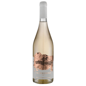 Piantaferro Falanghina Beneventano
