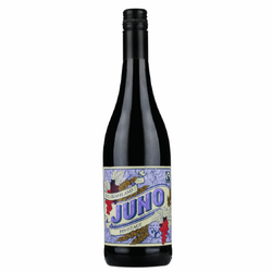 Juno Cape Maidens Pinotage Paarl 2023